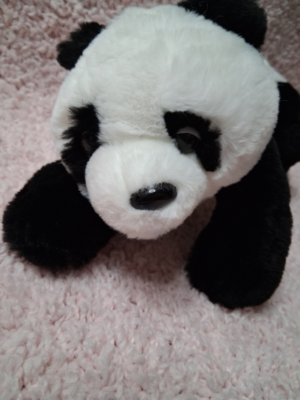 Adopt A Pet F. A.O Plush Black & White Panda Stuffed Animal - Picture 3 of 7